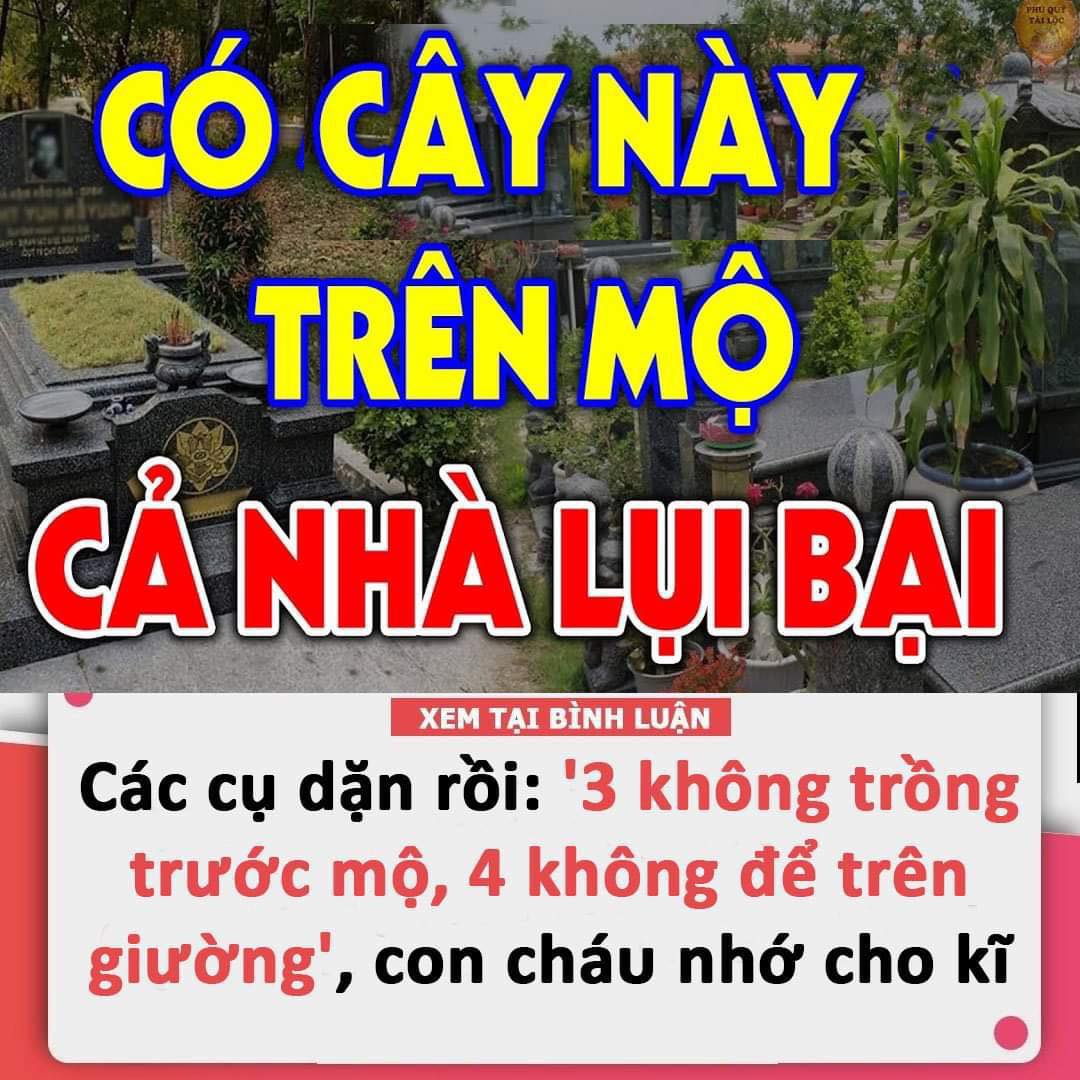 Bà Phương Hằng từ chối xin lỗi Đàm Vĩnh Hưng và Vy Oanh: Nữ ca sỹ xin toà giảm án cho CEO Đại Nam