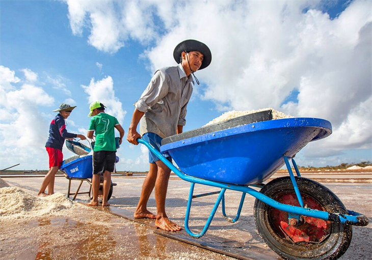 Anh Danh Dũng ở ấp Vĩnh Điền, xã Long Điền Đông, huyện Đông Hải, tỉnh Bạc Liêu thu hoạch muối. Ảnh: Phương Nghi