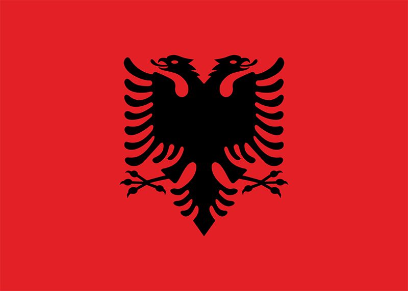 Quốc kỳ Albania là một lá cờ có nền đỏ với một con đại bàng đen hai đầu ở trung tâm. Đó là quốc kỳ có hai màu đỏ và đen được Nhà nước Albania công nhận.