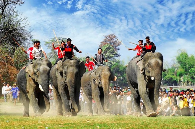 Lễ Hội đua voi tại TP Buôn Ma Thuộc