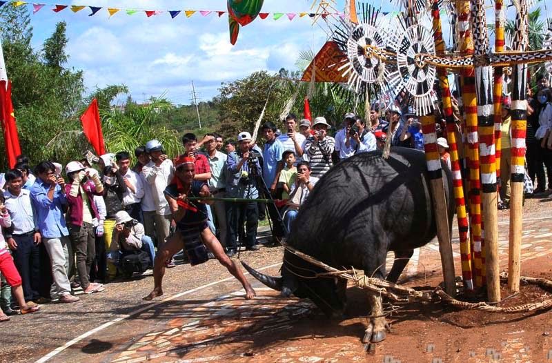 Lễ đâm trâu của người Bana